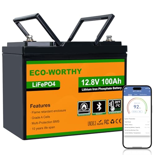 ECO-WORTHY Bluetooth Batterie Lithium 12V 100AH avec Protection de BMS et de Basse Température, LiFePO4 Batterie avec 4000 à 15000 Cycles pour Camping Car, Caravane, Bateau, Panneau Solaire