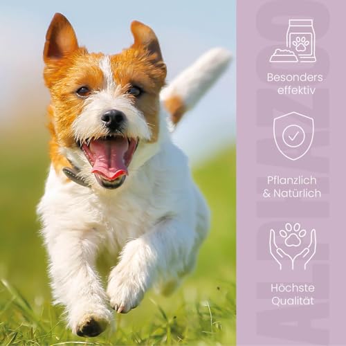 alphazoo ZeckAttack Zeckenspray für Hunde 100 ml - Natürlicher Zeckenschutz für Dein Hund mit Geraniol, Lavendel & Mandelöl, einfache Anwendung, sanft zur Hundehaut - Natürliche Inhaltsstoffe