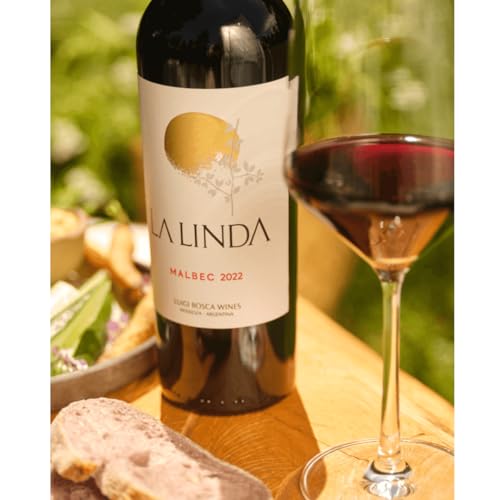 MEGA COMBO ADEGA - 12 Vinhos Tintos Argentinos