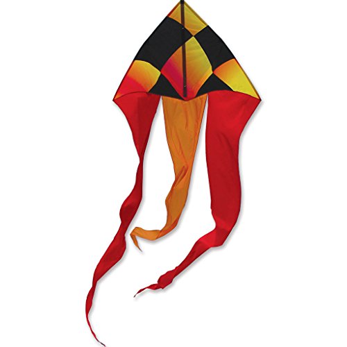 56 in. Flo Tail Delta Kites - Liquid Check