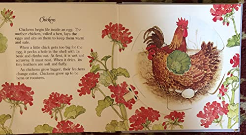 Baby Animals 0531021416 Book Cover