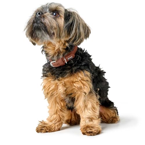 Hunter Hundehalsband SOHO MINI, Farbe: Cognac, Rindsleder, weich & geschmeidig, fellschonend, leicht, für kleine Hunde & Welpen, Made in Germany, Größe: 27