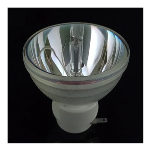 Ampoule de rechange JN811.001 compatible DWX1521 contre l'image terne
