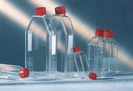 658975 Polystyrene Advanced TC T-75 Tissue Culture Flask, Sterile, 250 mL Volume, Blue Filter Screw Cap (Pack of 120)