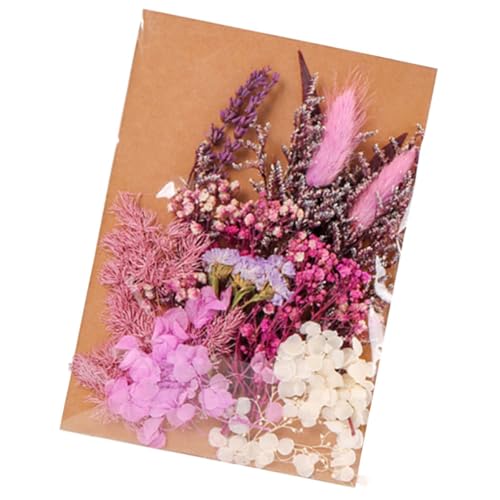 Paquete de Flores Secas Naturales para Manualidades miniatura 1