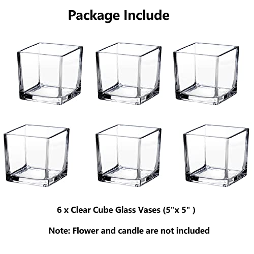 Hewory ZWJQT938-FANGXING-TOUMING-6PCS Square Glass Vases Set Of 6 – Hewory 5 Inchx5 Inch Clear Cube Flower Vase Candle Holders thumb #6