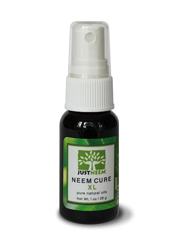 Aceite de curación de neem XL  Mezcla natural de aceite de neem  Mejor en acné, psoriasis, eczema, rosácea, herpes labial, uñas de los pies,