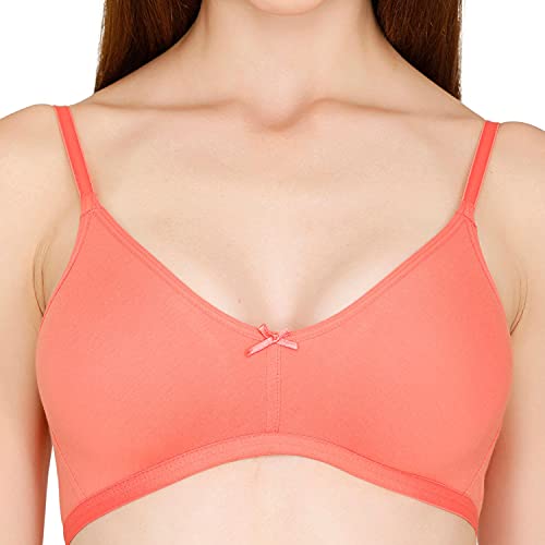 Image of Zivame Everyday Double Layered Non Wired 3 /4th Coverage T-Shirt Bra - Georgia Peach