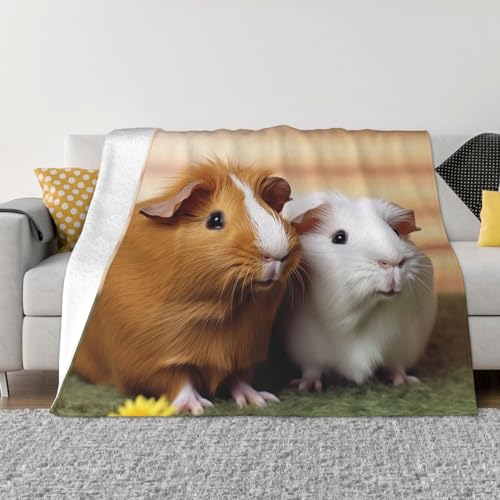 Couverture douce cochon d'Inde : cadeau parfait en microfibre