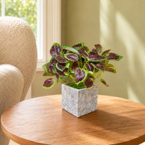 Image of fancymart Artificial Plant with Real-Touch Leaves in Pot, 25 cm, Indoor Tabletop Item for Home Decor, Office, Living Room
