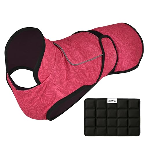 LUCOLOVE ppxXg ۗܕt ? nCJ[t2wpWPbg UVی & TCY}b`ACXpbN ? V̂߂̌ppxXg(sNt[AXL)