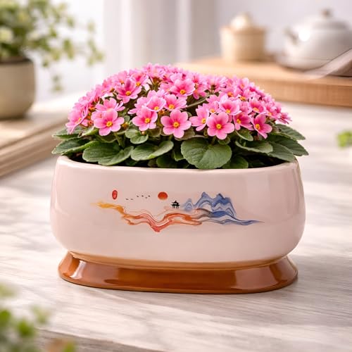 Image of Xtore Refined Artistic Oval Ceramic Planter Pot for Indoor & Outdoor Decor | Minimal Painted Landscape Flower Pot for Living Room, Balcony, Desk & Shelf Styling (19.3 cm x 13 cm) (Planter only)