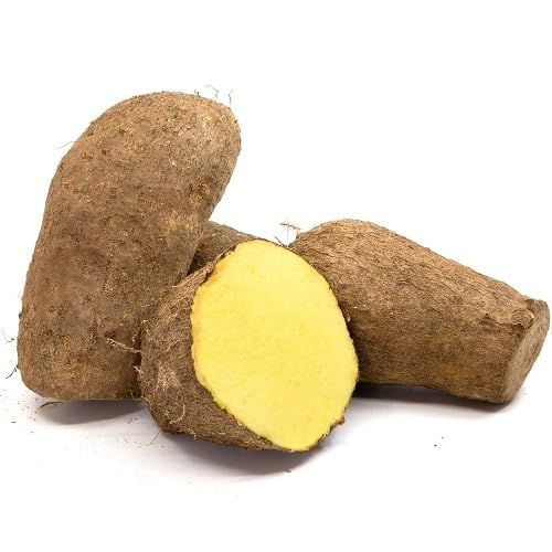 100pcs Yellow Yam Vegetable Seeds