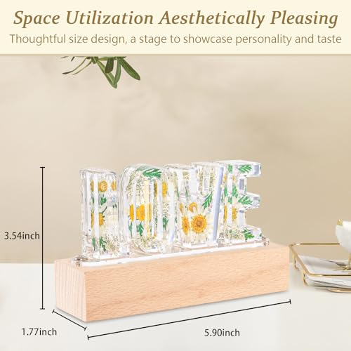 Image of Floral Letter LED Night Light: Resin Dried FlowerLetters Lamp with USB - Handmade Pressed Flower Nightlight Unique Customized Gift for Home Decoration (TP-White Flower, 1)