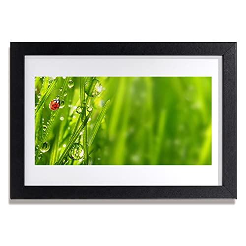 Affiche encadrée 30x20 cm herbe nature pour décoration murale salon et chambre