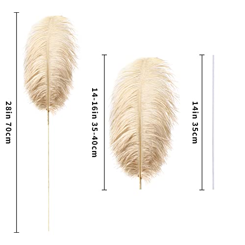 Ballinger Champagne Ostrich Feathers Bulk - Making Kit 10Pcs 28 Inch Large Boho Feathers For Vase, Floral Arrangement, Wedding Party Centerpieces And Home Decor #TOP6