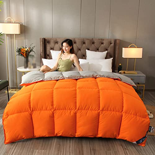 5JJJLOOOPP Edredón individual, para todas las estaciones, color, edredón de invierno, peso de 6 kg, edredón lavable, edredón de piel, cálido, protección contra el frío (color 2, 200 x 230 x 5 kg)