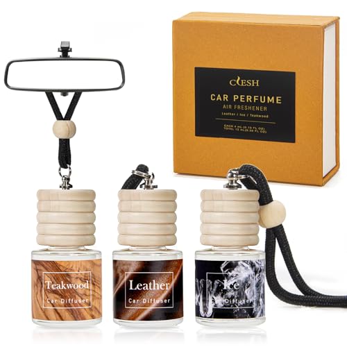 Hanging Car Air Freshener, Leather, Teakwood, Ice, Essential Oil Car Diffuser, Long Lasting Air Fresheners for Men, 3 Pack