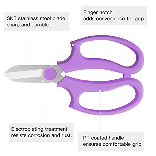 Image of Housolution Flower Scissors, Strong Floral Shears, Premium Steel Garden Pruning Shears Floral Fruits Leaf Scissors Hand Pruner Snip Trimming Tool for Gardening Flower Arrangement, Purple