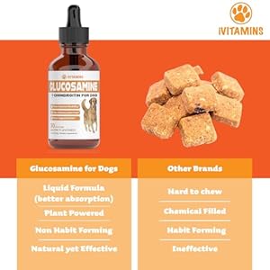 Glucosamine for Dogs | Supports Healthy Hips, Joints, & More | Glucosamine for Dogs Hip and Joint Supplement | Dog Glucosamine | Dog Joint Supplement | Glucosamine Chondroitin for Dogs | 1 fl oz
