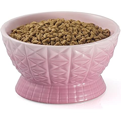 Raised Dog Food Bowl, Ceramic Dog Bowl, Tilted Cat Bowl Elevated Dog Feeding Bowl, White Dog Feeder for Cats Small Medium Dogs Bulldog, Protect Neck and Joint, Dishwasher Safe, 7.9 Inch, Pink Gradient Cover