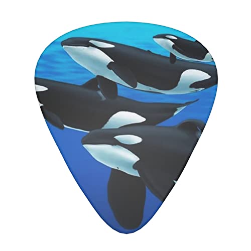 Orca Killer Whale Lot de 12 médiators fins moyens et lourds pour guitares acoustiques électriques - Les Beatles, Paul McCartney, John Lennon, RIngo Starr, George Harrison Orca Killer Whale Lot de 12 médiators fins moyens et lourds pour guitares acoustiques électriques