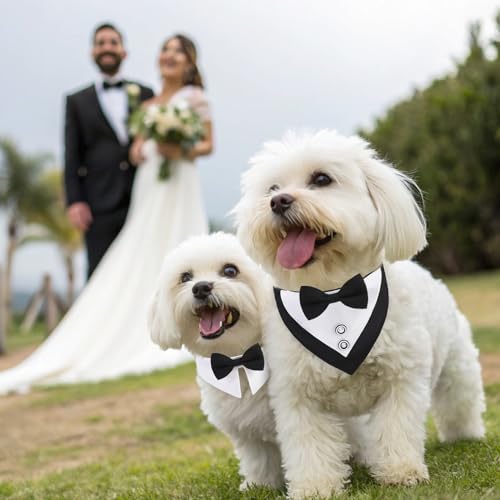 Image of EXPAWLORER Dog Collar and Leash Set - Dog Tuxedo Wedding Outfit Puppy Collar with Suit and Tie, Cute Ring Bearer in Tux Bow and Bandana Design, Proposal Costume for Small Pets