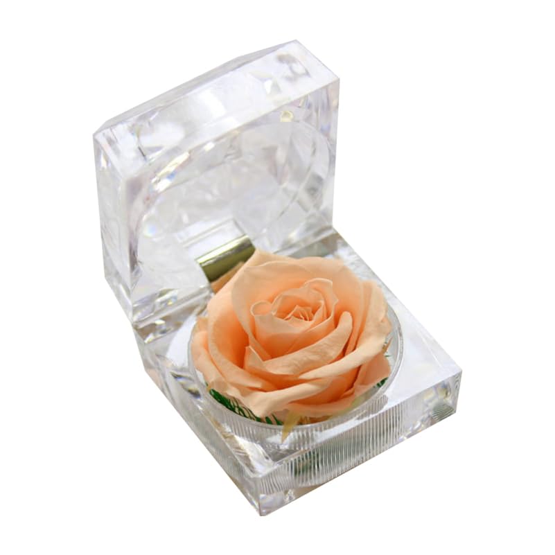 Rosa preservada de alta calidad en caja decorativa, pieza de diseño floral exclusivo