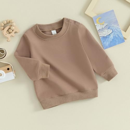 TheFound Toddler Baby Boys Sweatshirts Long Sleeve Crewneck Solid Color Pullover Fall Winter Tops Casual Newborn Baby Clothes3