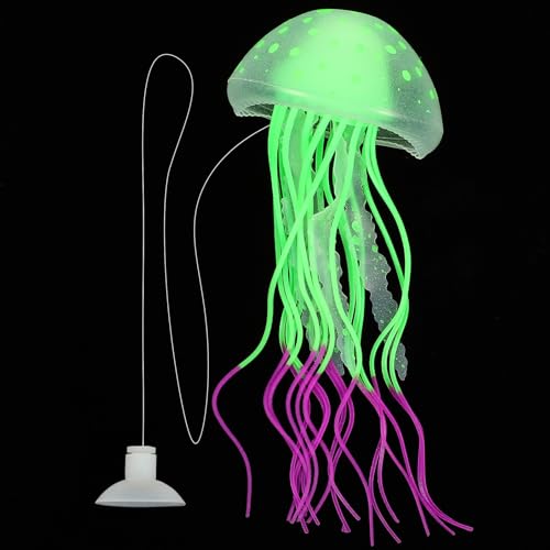 Abaodam VRNQ i  ŃAȃANAEANZT[ ʌiςRɉo 킢NQu