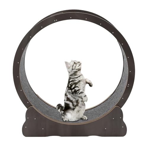 Cat Exercise Wheel for Indoor Cats - Silent Running Pet Treadmill with 110 lbs...