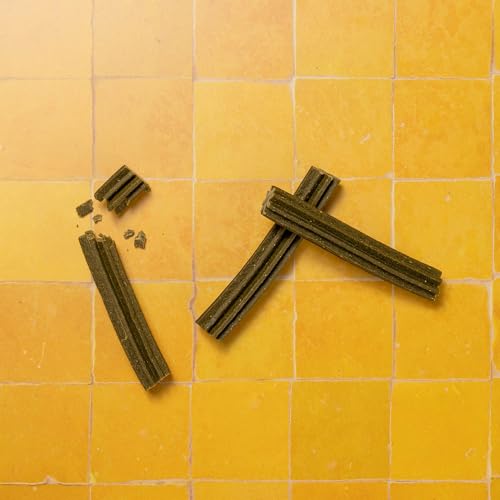 Pooch & Mutt - Superfood Dental Sticks für Hunde, Dental Sticks mit Spirulina- und Minzegeschmack für Hunde, 1 Packung mit 7 Sticks