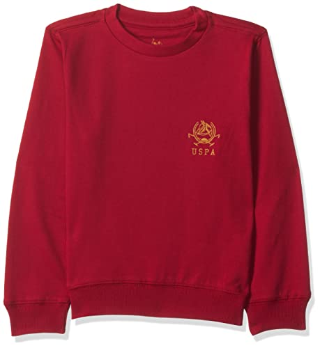 Image of U.S. Polo ASSN. Boys Sweatshirts