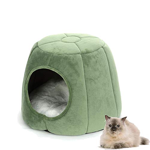 KJOET Lxbh LnEX ybgpQ LbgnEX xbh   _炩  ~ ΍ ۉh L  x bh NbV ^ LbgnEX ybg xbh gxe ybg p