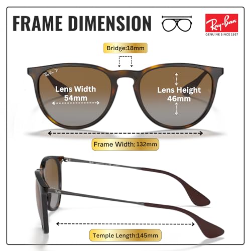 Image of Ray-Ban RB4171 ERIKA CLASSIC Phantos Shaped Sunglasses for Women with Official RAYBAN Eyewear Kit