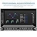 MIZISNR Professional 2/3 Way Stereo/4 Way Mono Crossover with XLR Input and Output, Stereo Audio Sound Processing for PA System with Subwoofer