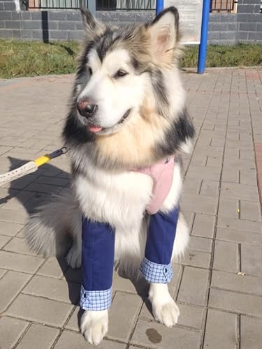 Image of Dog Elbow Pads Knee Protector Wraps Elbow Callus Treatment Sleeve for Wounds Front Legs Stop Licking Medium Large Dogs XL, Navy