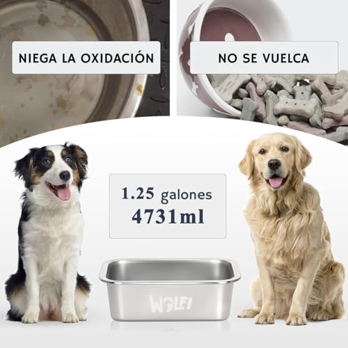 Reviews de Tazones - los más vendidos. 18 Imagen adicional