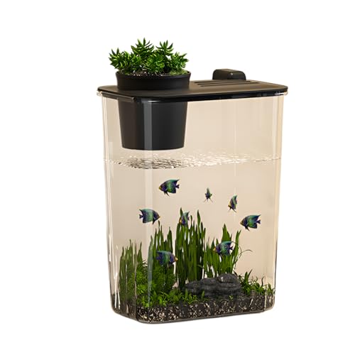 [Miflaier]y^z yfXNz LEDCg _f ItBXƒp fUC eiXȒP R̖