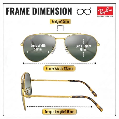 Image of Ray-Ban RB3625 NEW AVIATOR Sunglasses with Official Eyewear Kit