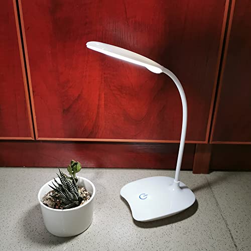 Lampe de bureau lumineuse rechargeable et lanterne de table LED