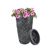 Design Regenwassertank 240L Anthrazit – Pflanzbar – 112 cm Höhe – Inkl. Fallrohranschluss-Set...
