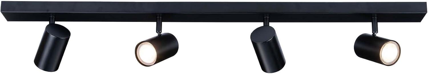 Contents of the Ledvion Ceiling Spot box