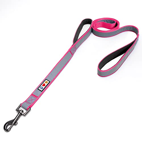 Correas Perros Grandes con Dos Asas Marca Pawtitas