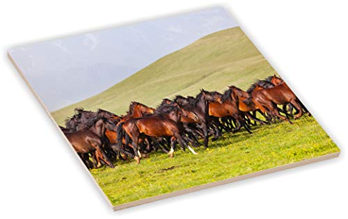 Sam Sandor 6 Inch Ceramic Tile Art - Horses Racing Brown on Mountain