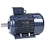 Marathon,40 HP General Purpose, 3 Phase, 3600 RPM, 230/460 V, 200L Frame, TEFC