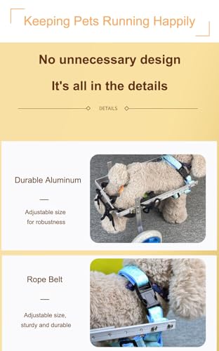 Aide à la rééducation pour animaux handicapés moteurs