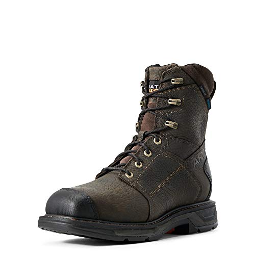 Ariat Men's Workhog Xt 8