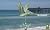 Good Directions 1909V1 Pelican Weathervane, Blue Verde Copper