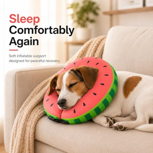 Image of MIDOG Inflatable Dog Cone After Surgery, Donut Collar for Large Dogs, L